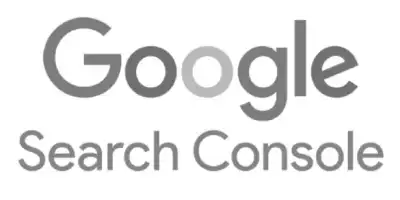 logo text al platformei Google Search Console